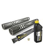 Progressive fork springs for CFMOTO 800MT (2021-)